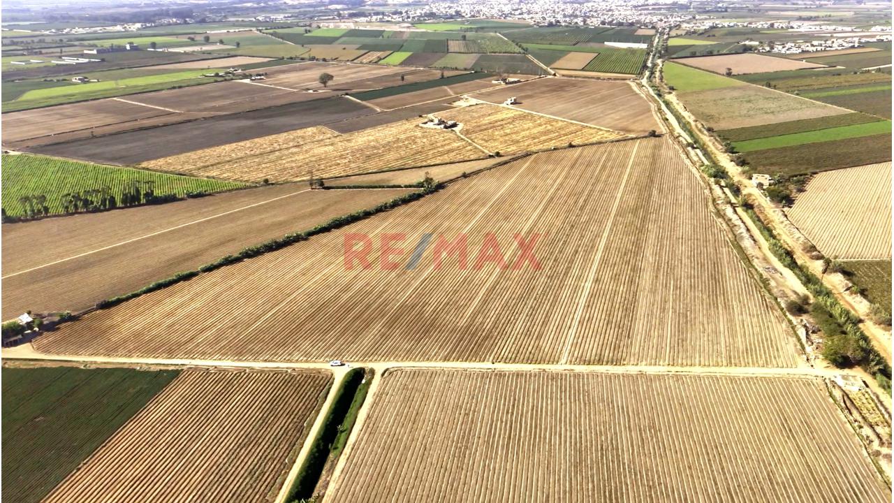 Oportunidad Agrícola En San Vicente De Cañete – Proyecto Mamala 🚜🌱 - 9