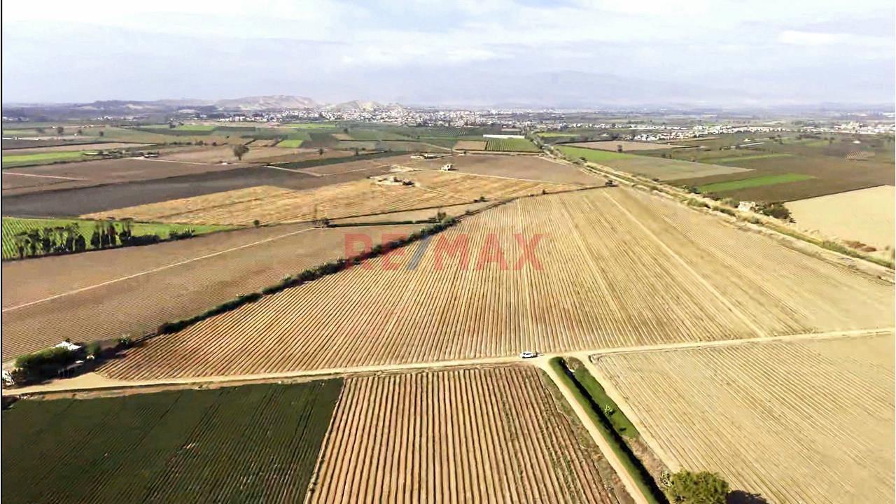 Oportunidad Agrícola En San Vicente De Cañete – Proyecto Mamala 🚜🌱 - 6