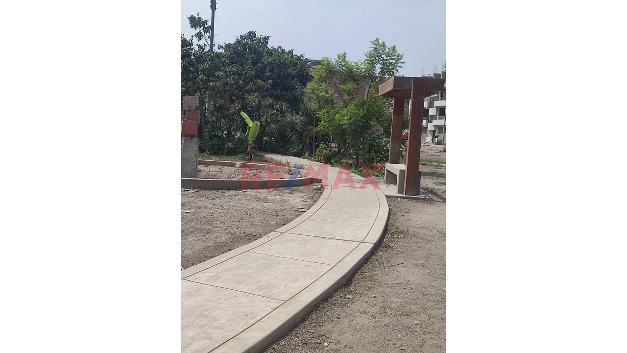 Se Vende Terreno En Avenida En Urb. La Alameda De Carabayllo — foto 6