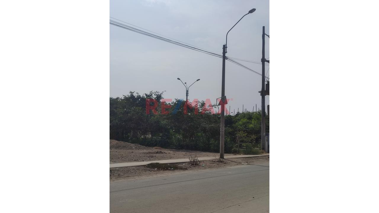 Se Vende Terreno En Avenida En Urb. La Alameda De Carabayllo — foto 2