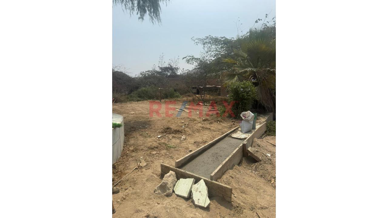 🌴🏡 Venta De Lotes – Asociación La Arboleda De Bujama 🏡🌴 - 2