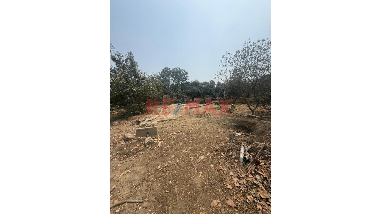 🌴🏡 Venta De Lotes – Asociación La Arboleda De Bujama 🏡🌴 - 11