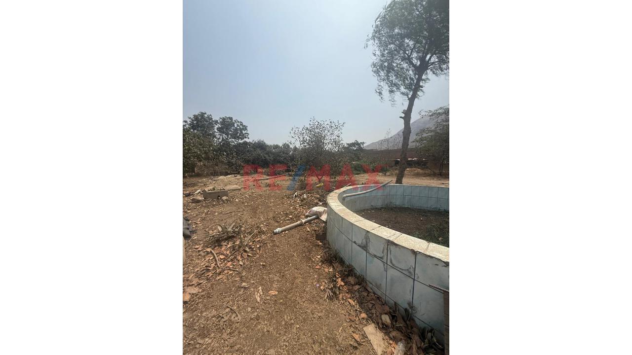 🌴🏡 Venta De Lotes – Asociación La Arboleda De Bujama 🏡🌴 - 3