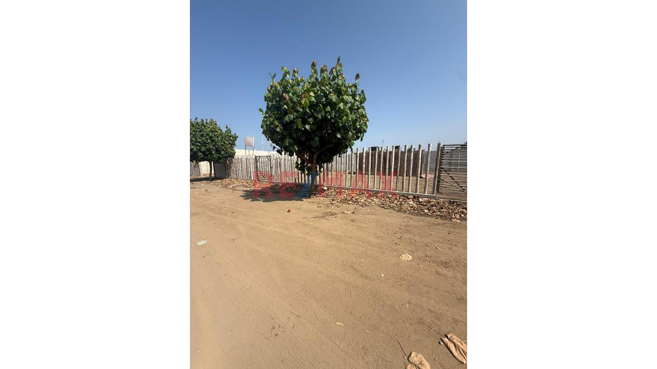 🌴🏡 Venta De Lotes – Asociación La Arboleda De Bujama 🏡🌴 - 7