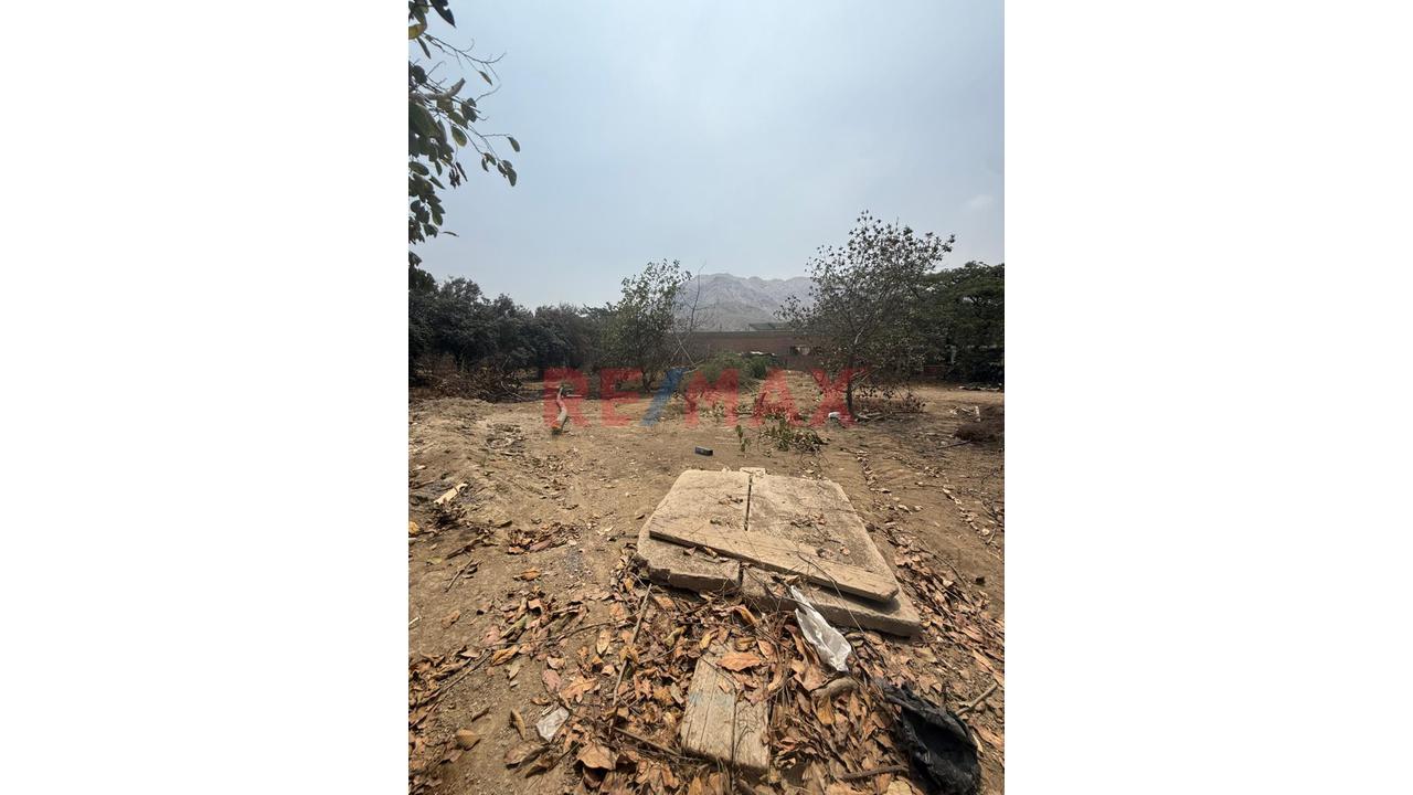 🌊🏡 Lotes En Venta – Asoc. Arboleda Avanza 🏡🌊 — foto 10