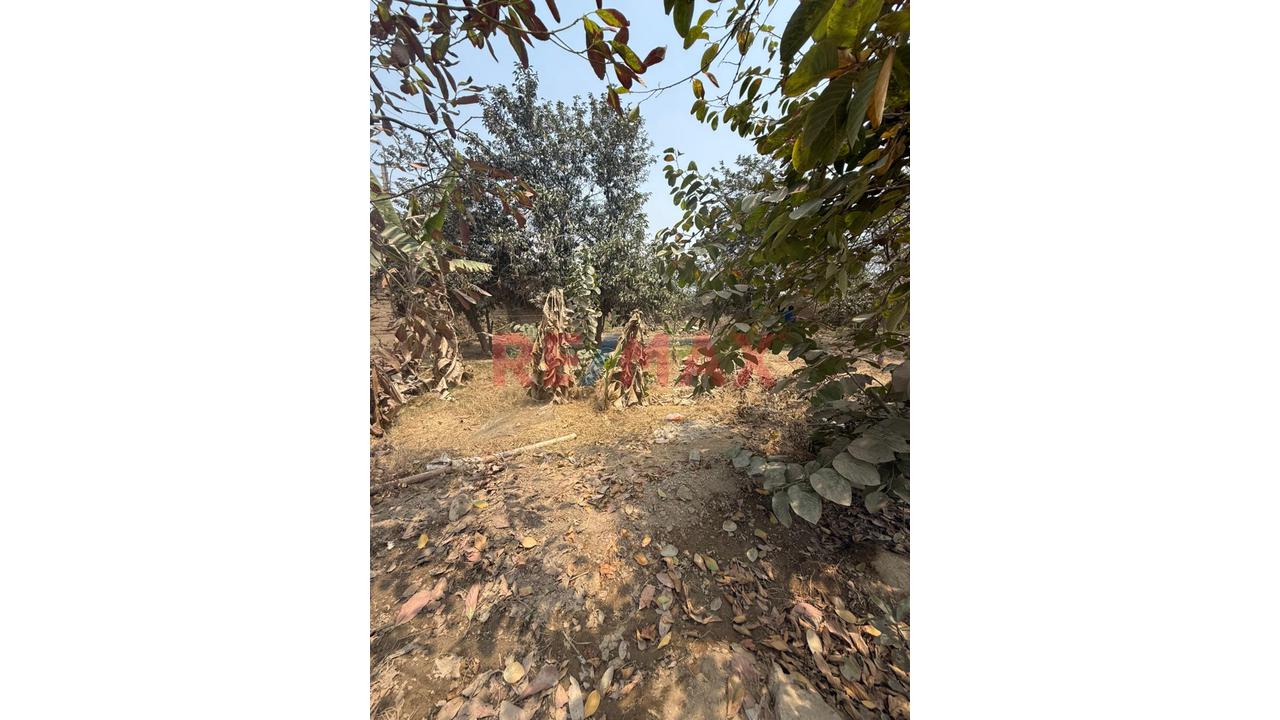 🌊🏡 Lotes En Venta – Asoc. Arboleda Avanza 🏡🌊 — foto 9