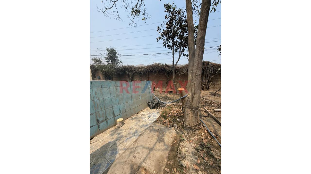 🌊🏡 Lotes En Venta – Asoc. Arboleda Avanza 🏡🌊 — foto 8