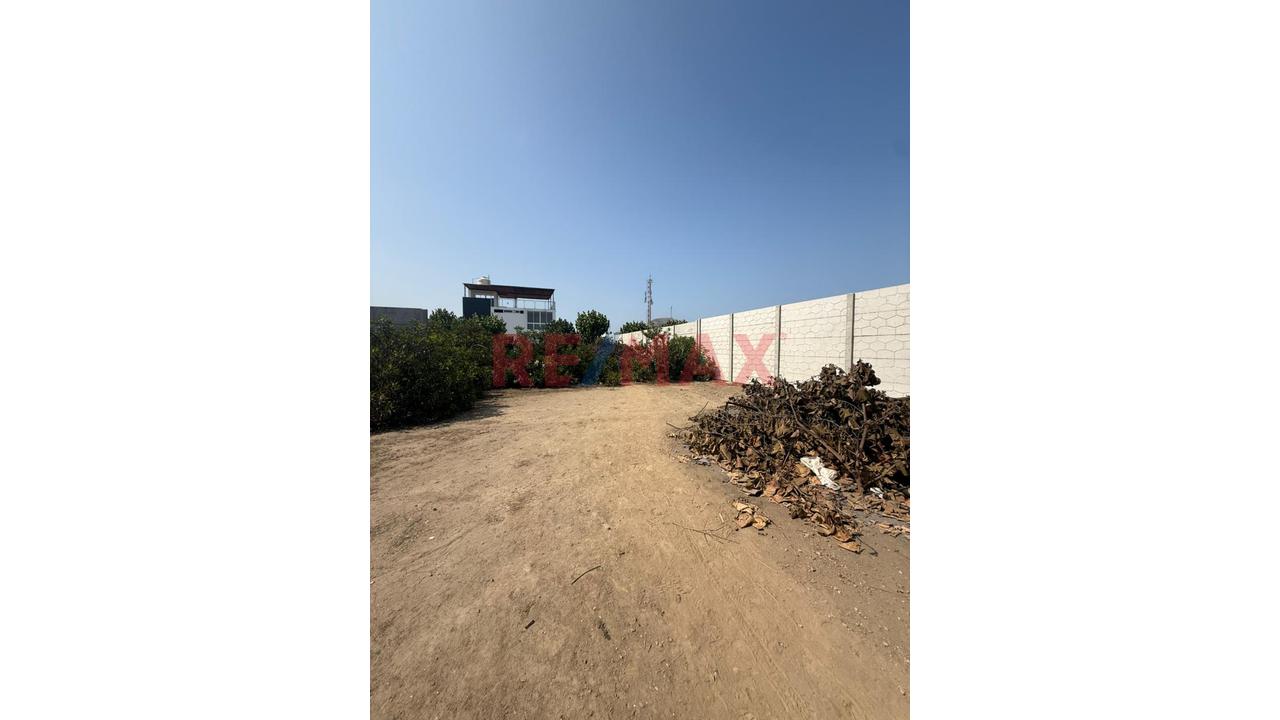 🌊🏡 Lotes En Venta – Asoc. Arboleda Avanza 🏡🌊 — foto 3