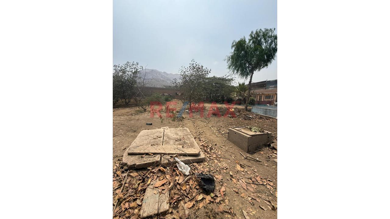 🌊🏡 Lotes En Venta – Asoc. Arboleda Avanza 🏡🌊 — foto 4
