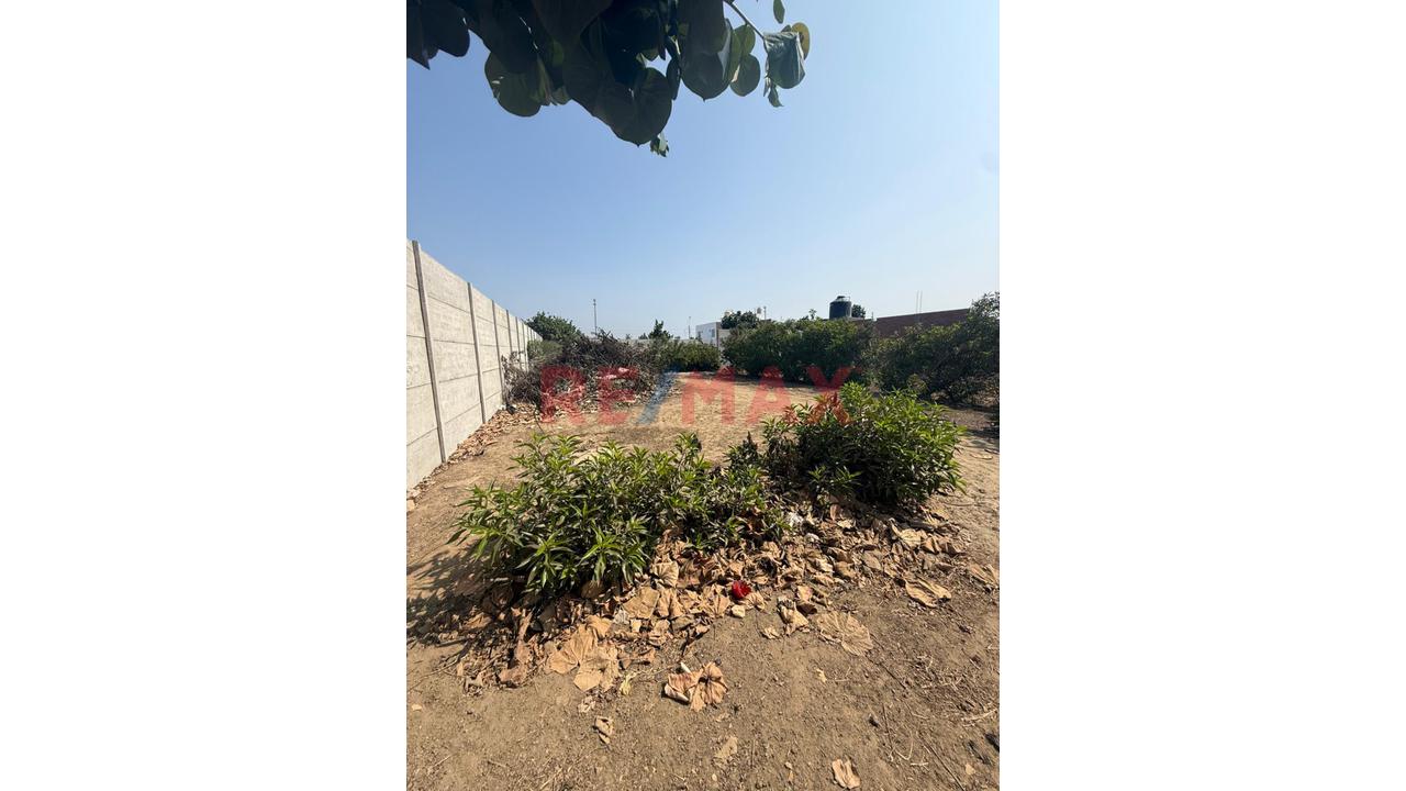🌊🏡 Lotes En Venta – Asoc. Arboleda Avanza 🏡🌊 — foto 5