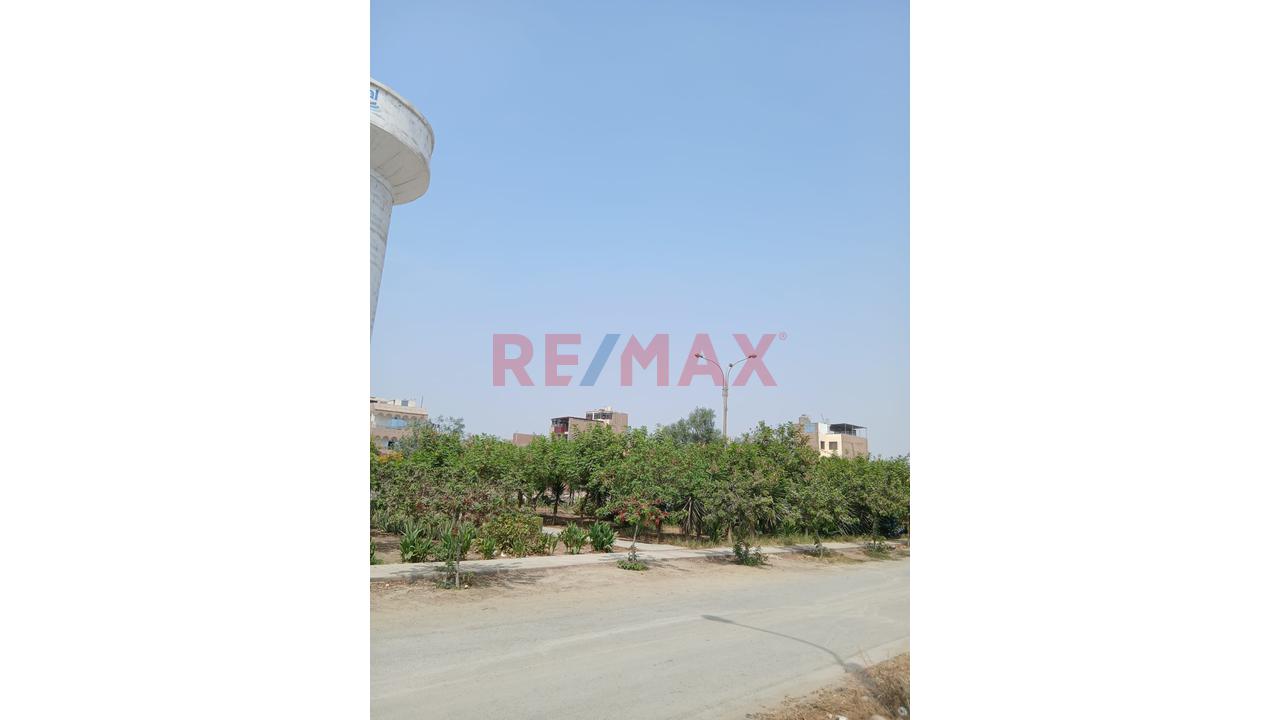 Terreno En Venta En Urb. Sol De Carabayllo I Etapa – 115.20M² — foto 12
