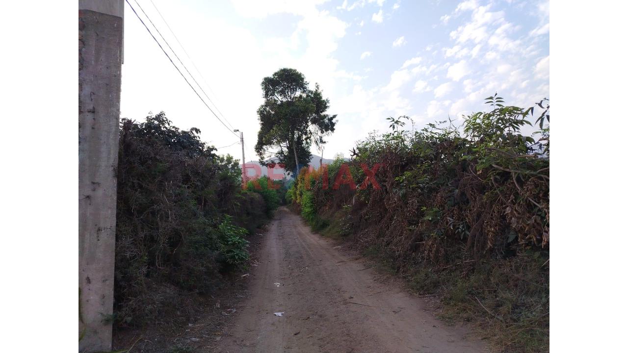 ¡Tu Refugio Privado En Esperanza Alta - Sector La Virgen! 🌳 - 2