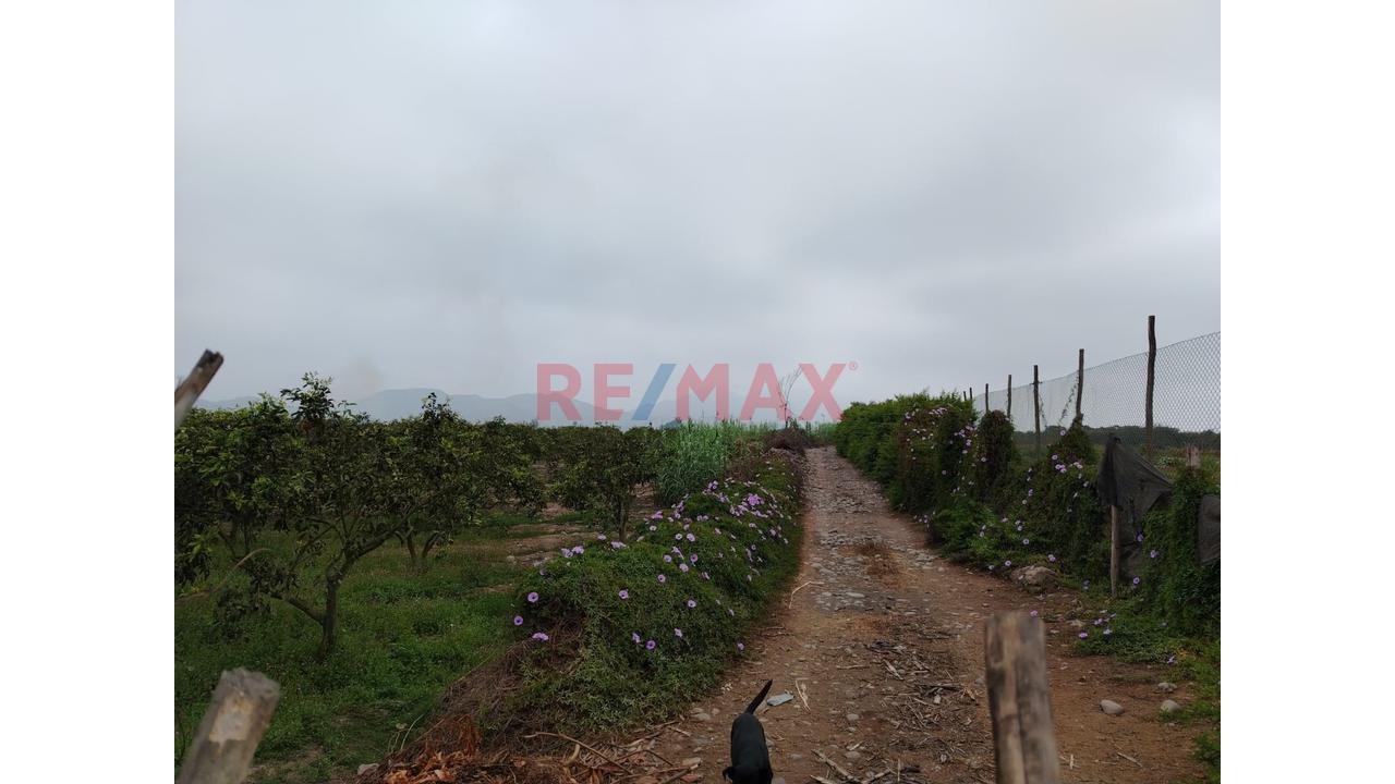 ¡Tu Refugio Privado En Esperanza Alta - Sector La Virgen! 🌳 - 7