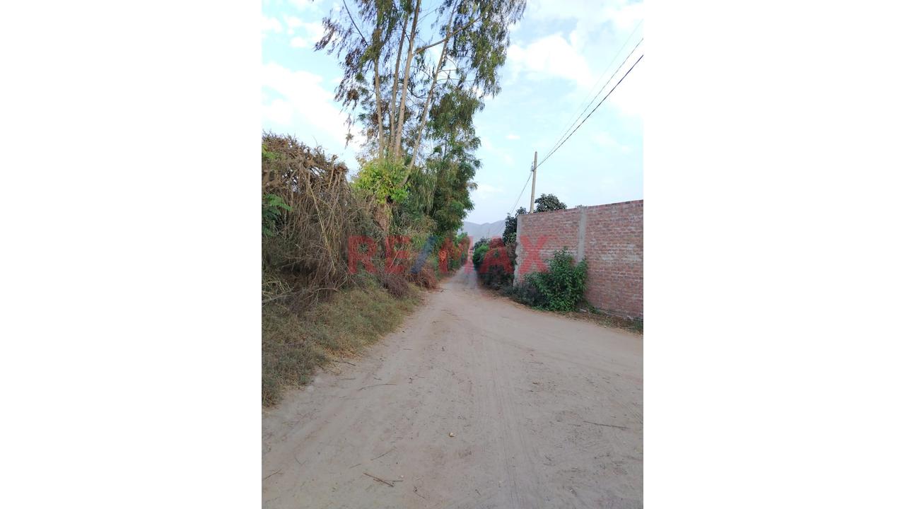 ¡Tu Refugio Privado En Esperanza Alta - Sector La Virgen! 🌳 - 4