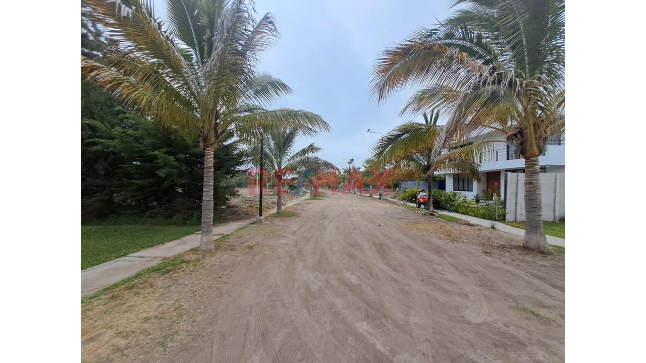 TERRENO 7