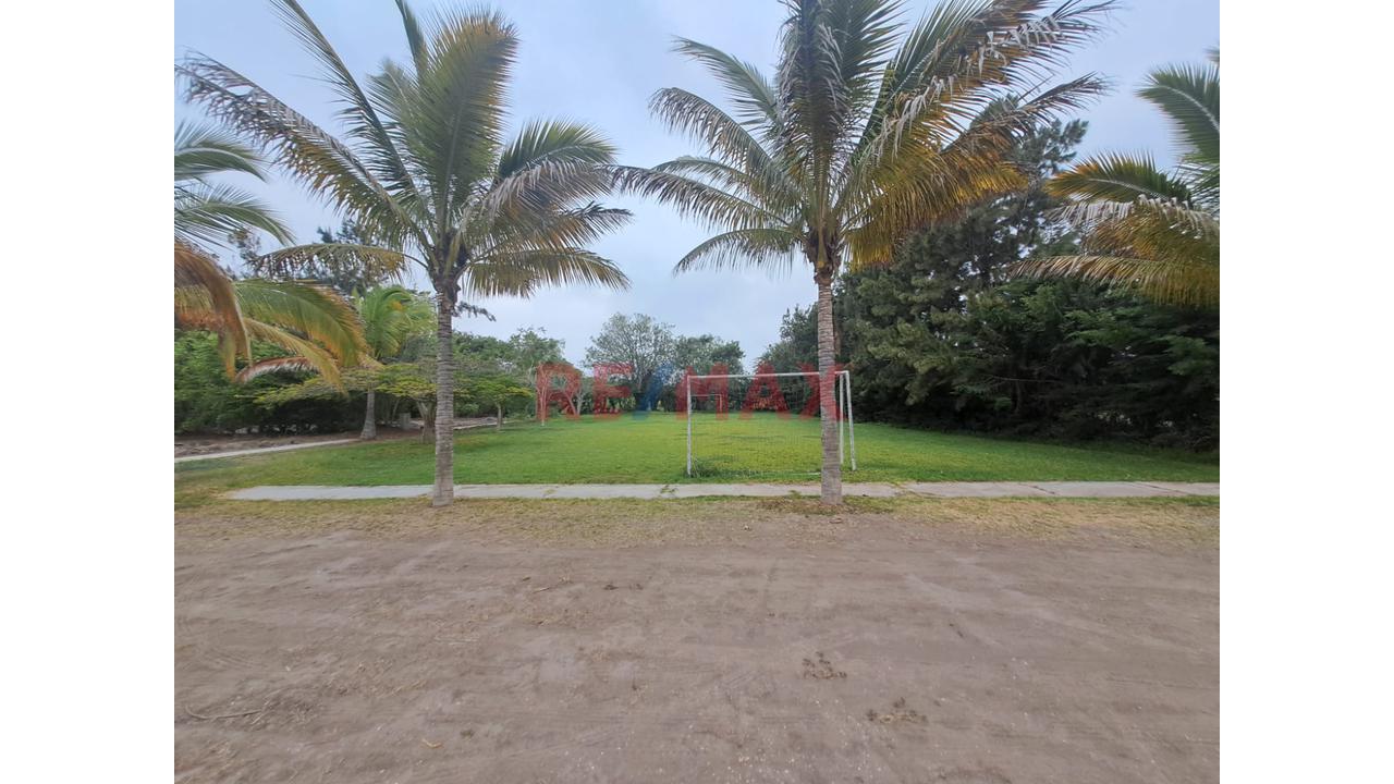 TERRENO 5