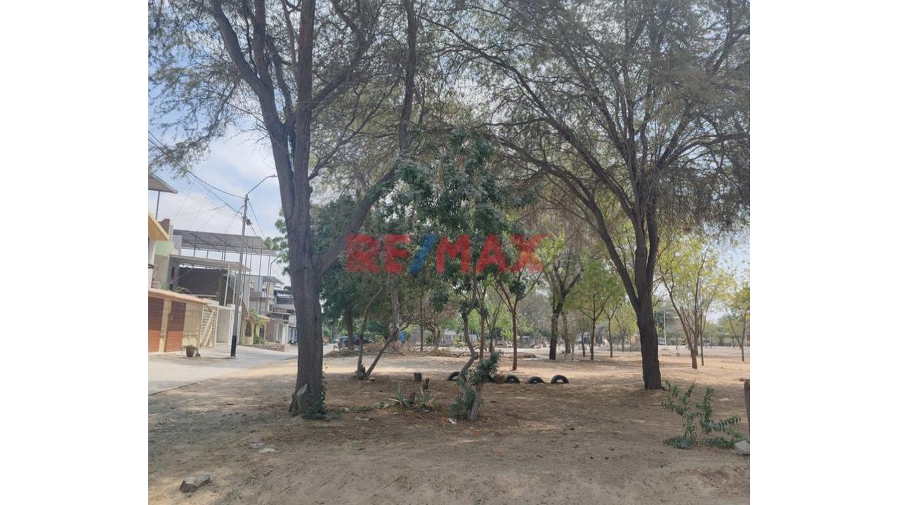 Se Vende Terreno En Urb. Bello Horizonte Cerca Al Senati A 250 Mil Soles 💵 💵 💵 🤑 10 X 20 — foto 5