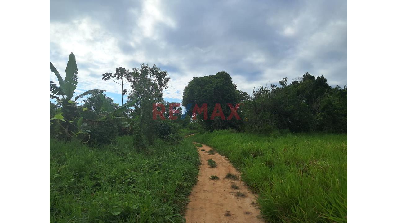 Gran Oportunidad De Inversión: Terreno Agrícola Y Ganadero En Ucayali — foto 9