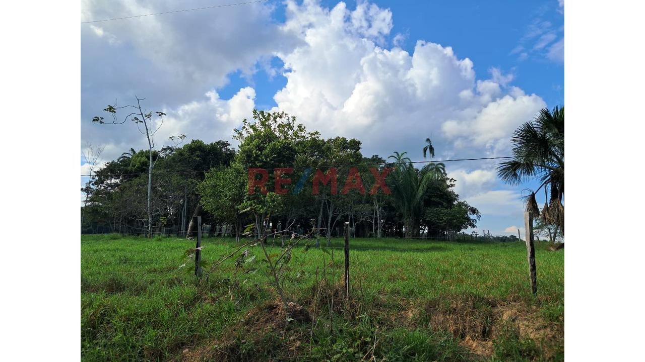 Gran Oportunidad De Inversión: Terreno Agrícola Y Ganadero En Ucayali — foto 7