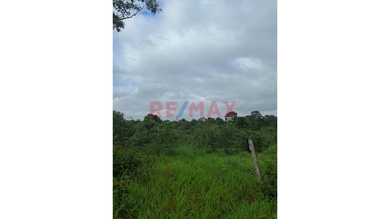 Gran Oportunidad De Inversión: Terreno Agrícola Y Ganadero En Ucayali — foto 3