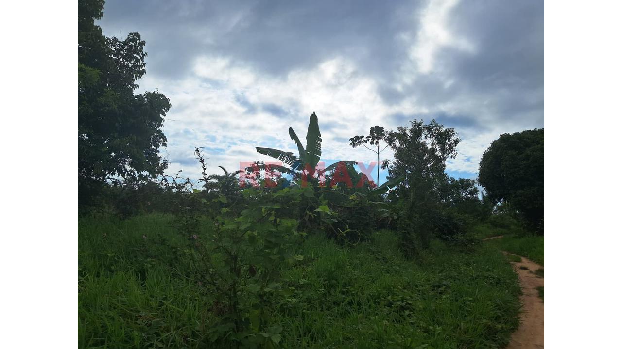Gran Oportunidad De Inversión: Terreno Agrícola Y Ganadero En Ucayali — foto 6