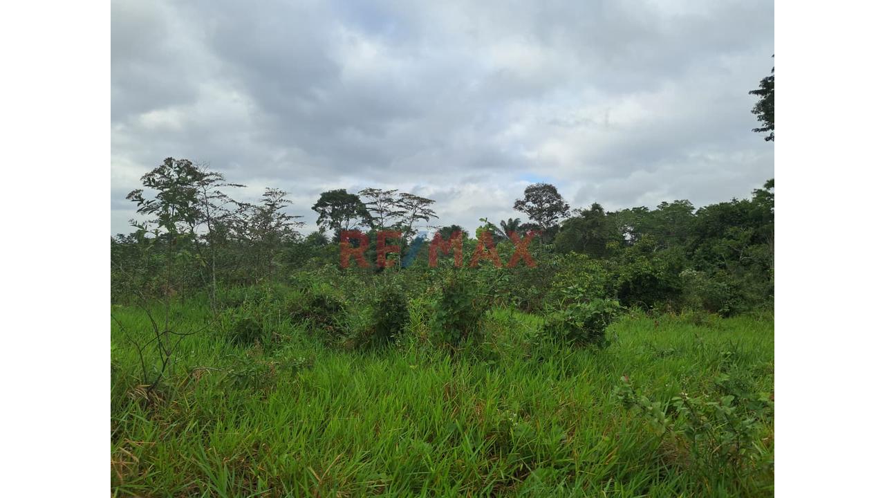 Gran Oportunidad De Inversión: Terreno Agrícola Y Ganadero En Ucayali — foto 4