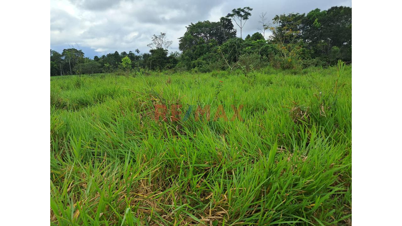 Gran Oportunidad De Inversión: Terreno Agrícola Y Ganadero En Ucayali — foto 5