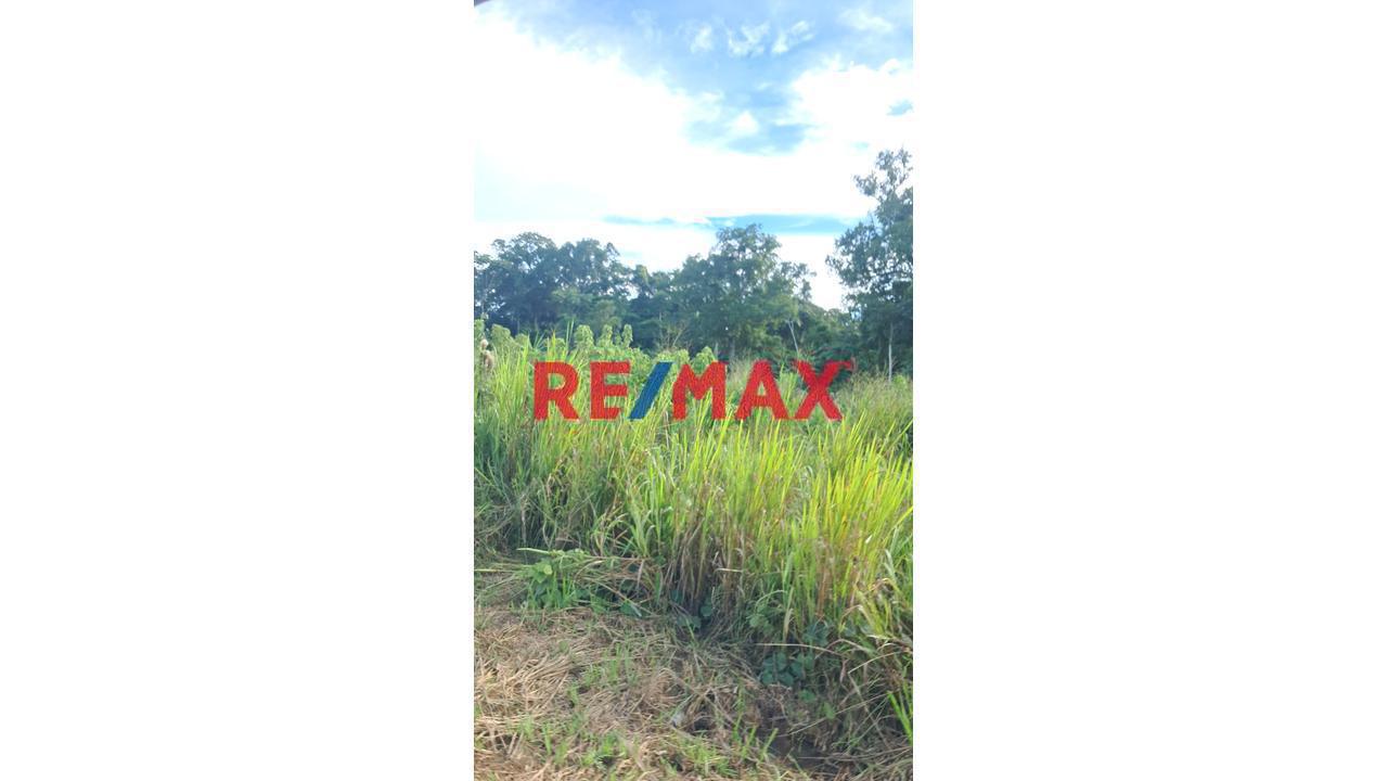 Gran Oportunidad De Inversión: Terreno Agrícola Y Ganadero En Ucayali — foto 1