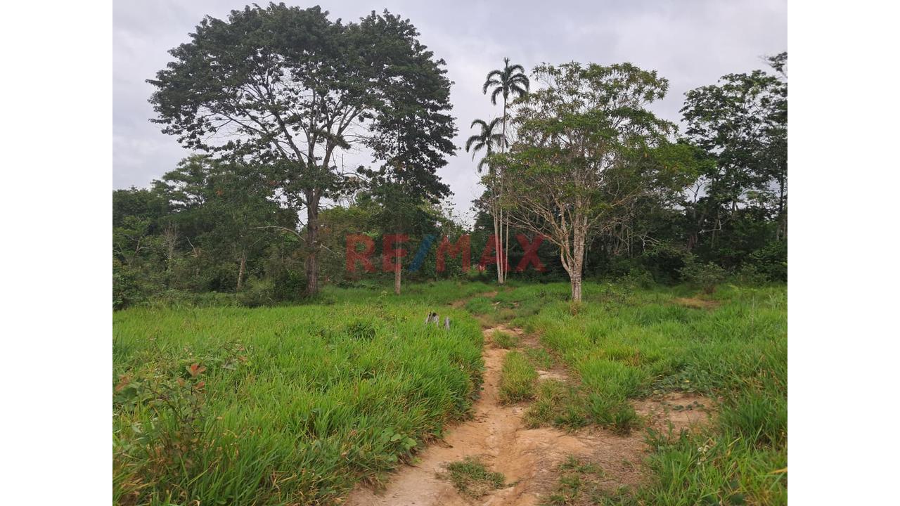 Gran Oportunidad De Inversión: Terreno Agrícola Y Ganadero En Ucayali — foto 8