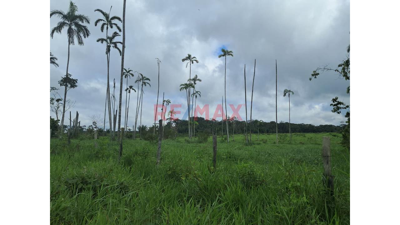 Gran Oportunidad De Inversión: Terreno Agrícola Y Ganadero En Ucayali — foto 11