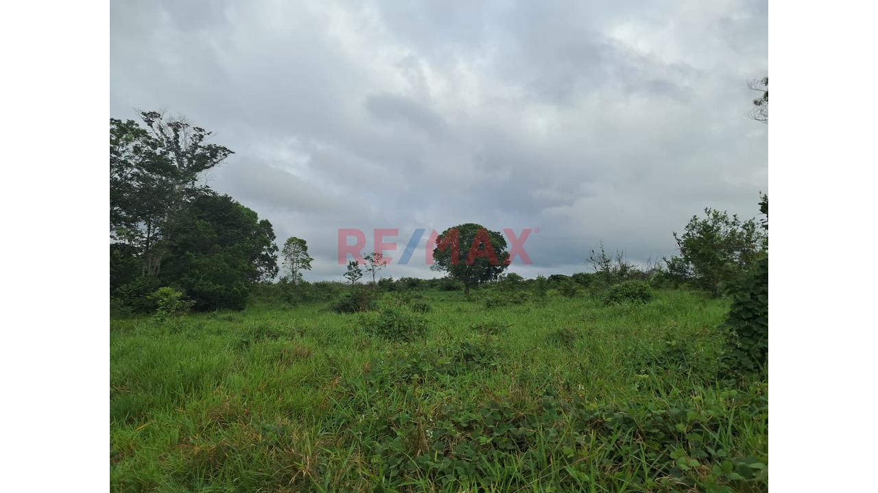 Gran Oportunidad De Inversión: Terreno Agrícola Y Ganadero En Ucayali — foto 2