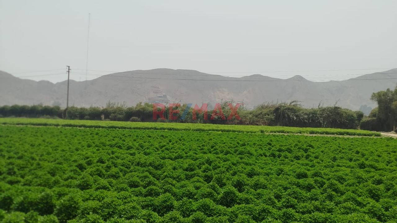 🌳 ¡Gran Oportunidad De Inversión En Carabayllo! - 1
