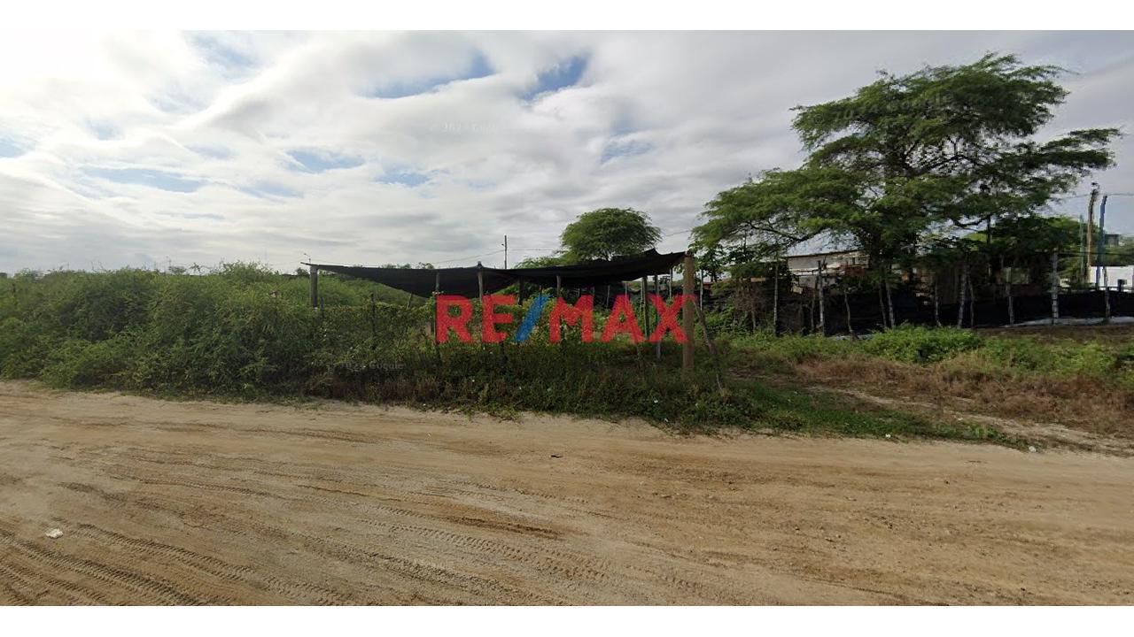 🌊🦐 Venta De Terreno Agroindustrial En Zarumilla 🚜📍 - 1