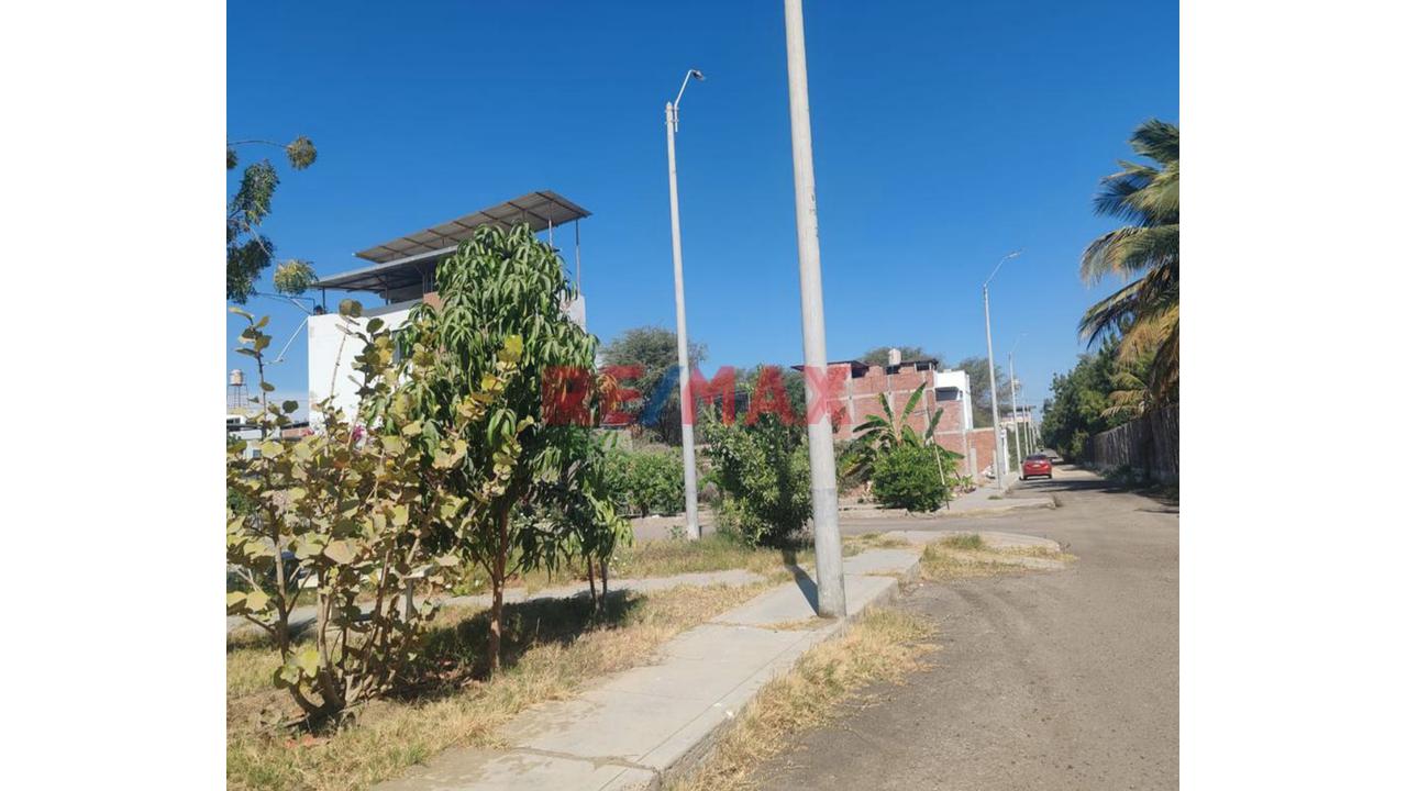 Terreno En Venta Urb. Corales Area 140M2 (8 X17.5) A Tan Solo 🔥 S/140 Mil Soles 🤑 💵 - 15