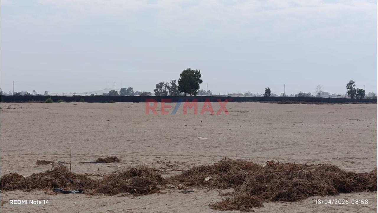 Terreno Agrícola En Venta – San Andrés, Pisco - 5