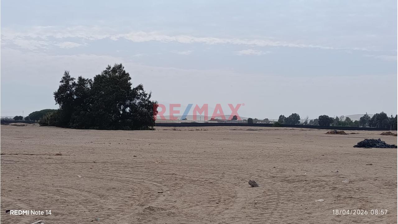 Terreno Agrícola En Venta – San Andrés, Pisco - 4