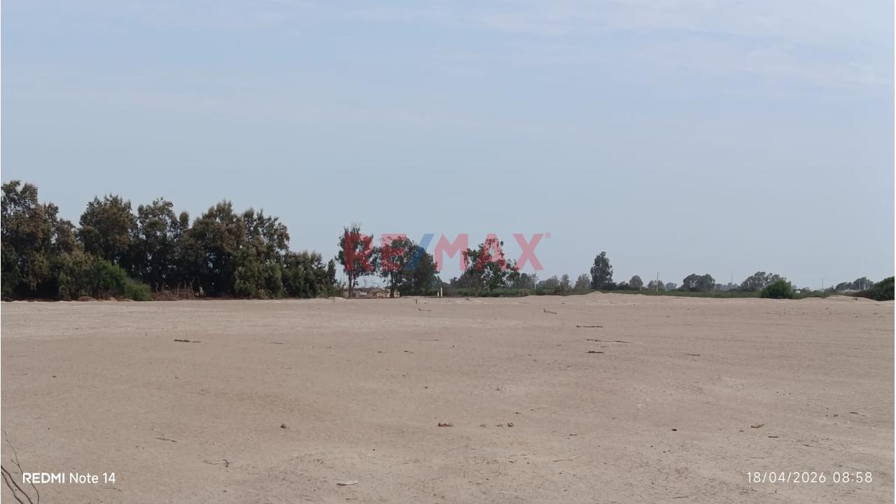 Terreno Agrícola En Venta – San Andrés, Pisco - 2