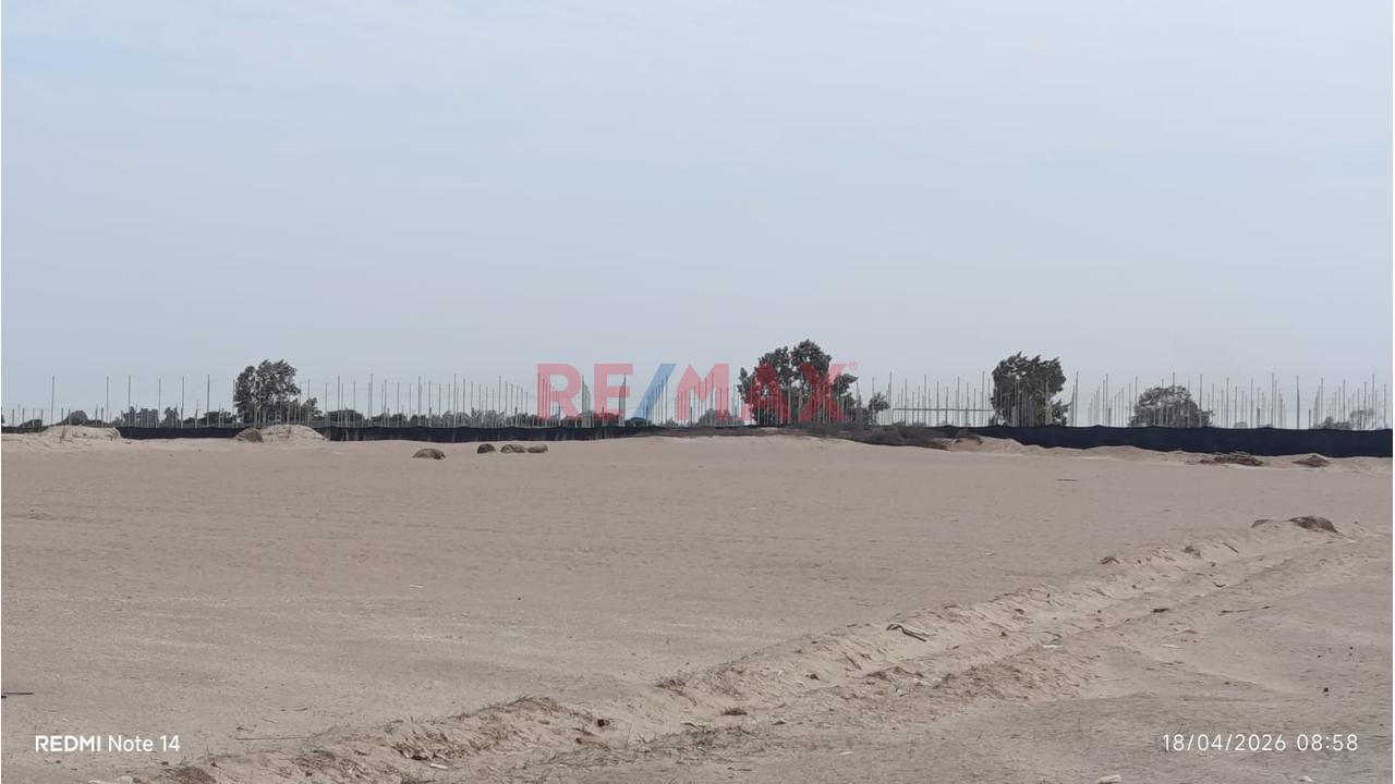 Terreno Agrícola En Venta – San Andrés, Pisco - 3