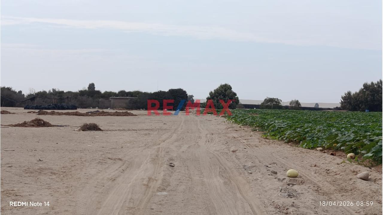 Terreno Agrícola En Venta – San Andrés, Pisco - 1