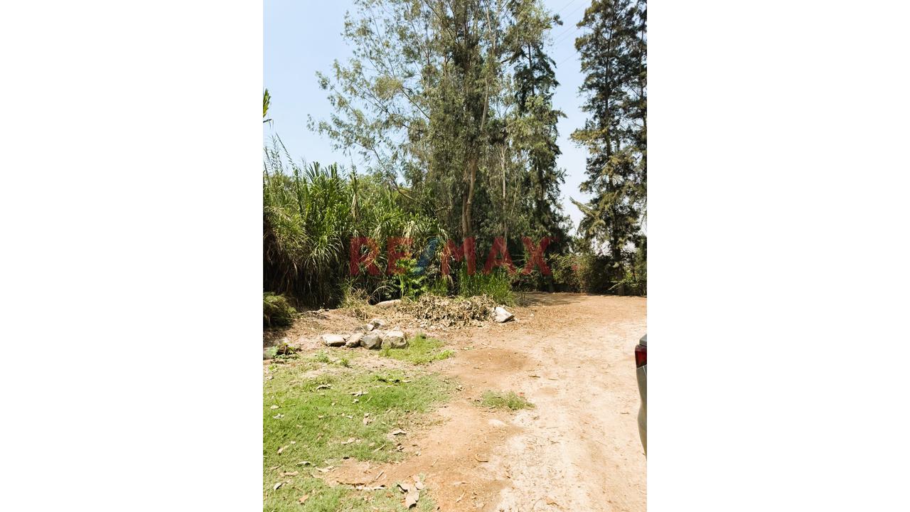 Erreno Agrícola 5,020 M² - Sur De Pachacamac