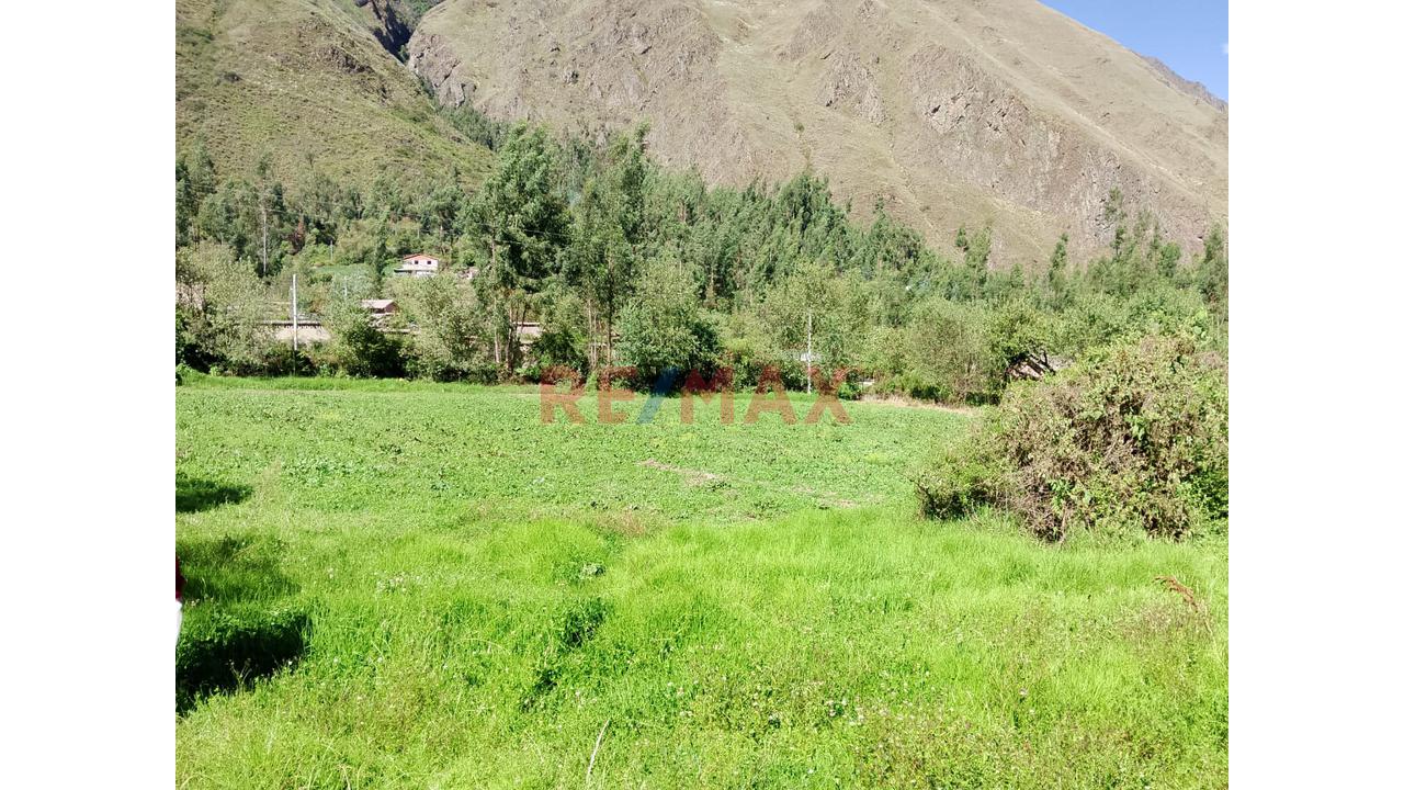 📍 Oportunidad: Venta De Terreno - 5,000 M² En Ollantaytambo – Sector Manzanayoc - 5