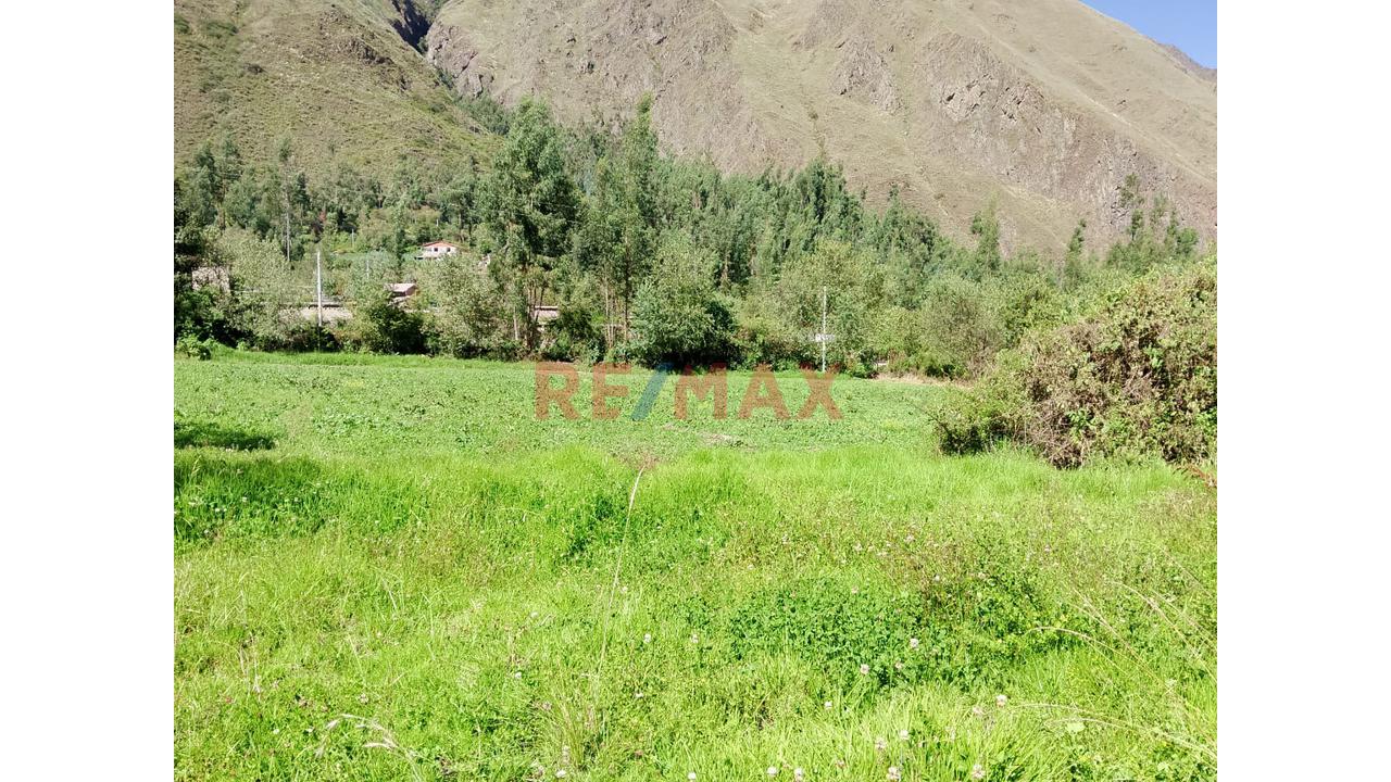 📍 Oportunidad: Venta De Terreno - 5,000 M² En Ollantaytambo – Sector Manzanayoc - 4