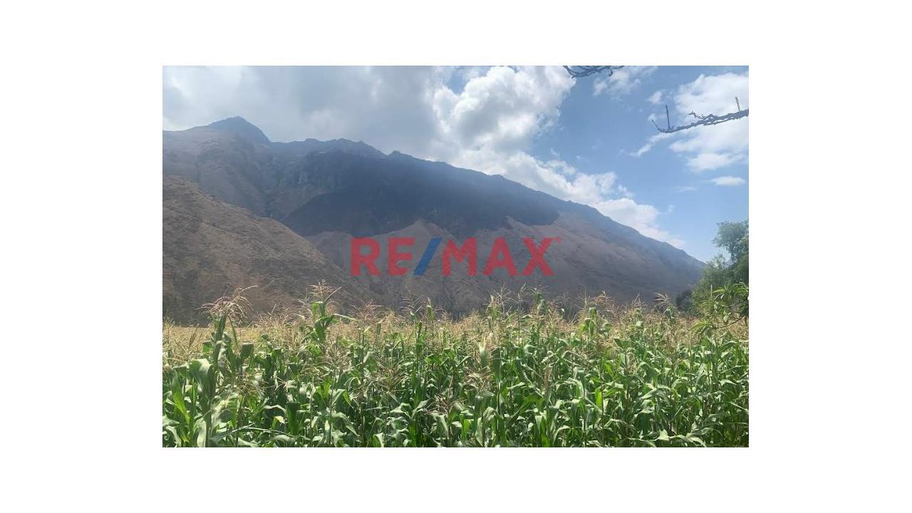 📍 Oportunidad: Venta De Terreno - 5,000 M² En Ollantaytambo – Sector Manzanayoc - 1