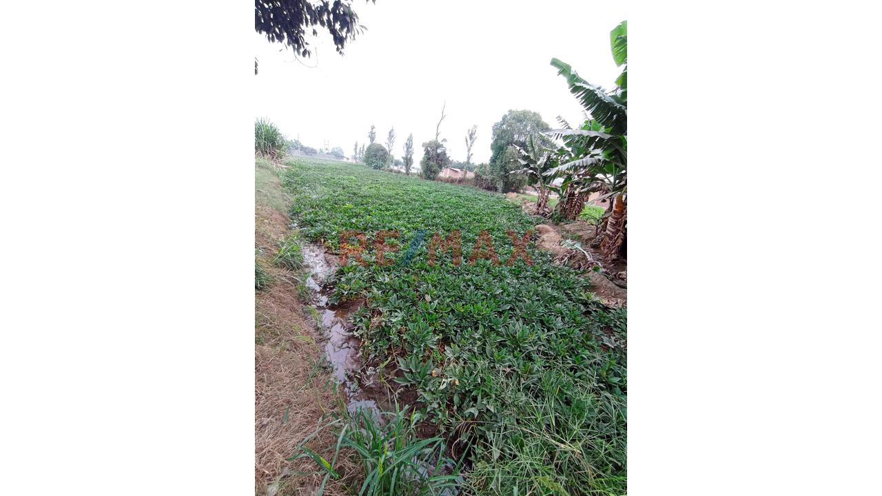 🚨🎯Se Vende Terreno Rural Con Proyecciòn Urbana🚨🎯 - 6