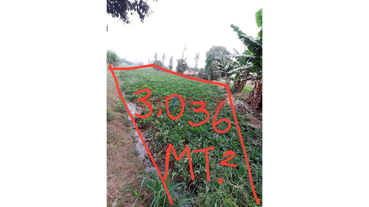 🚨🎯Se Vende Terreno Rural Con Proyecciòn Urbana🚨🎯 - 11