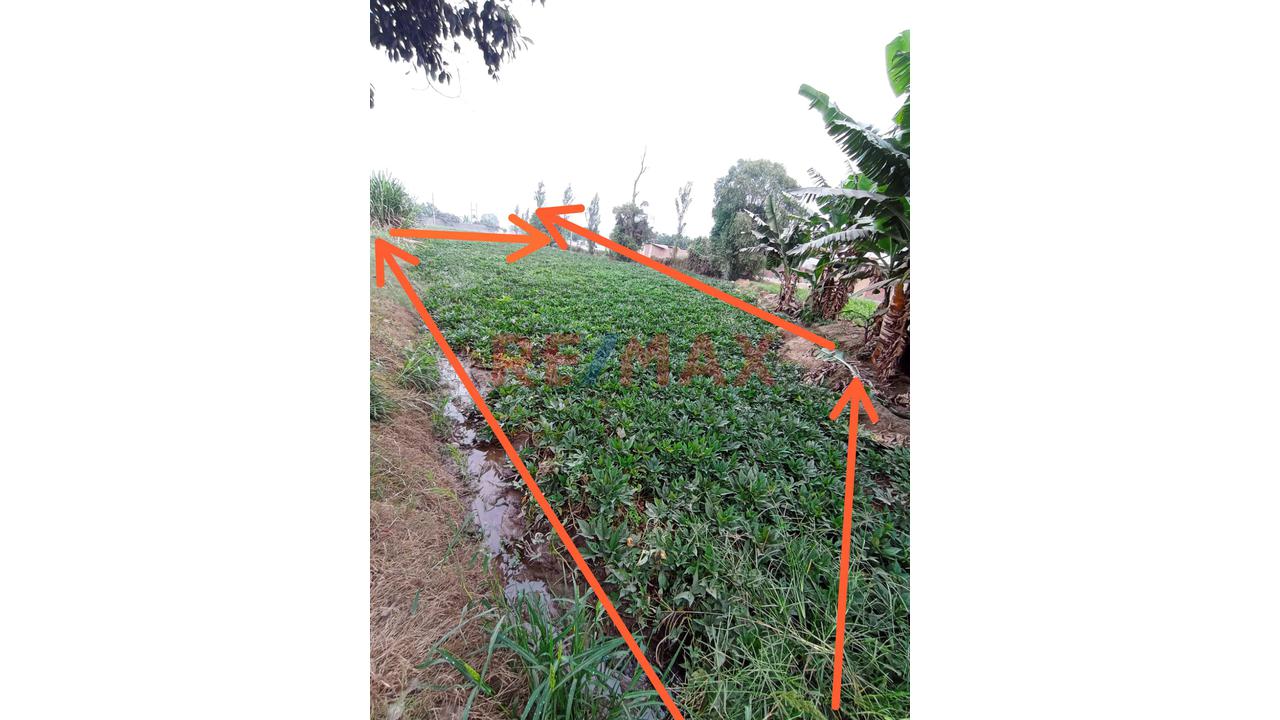 🚨🎯Se Vende Terreno Rural Con Proyecciòn Urbana🚨🎯 - 7
