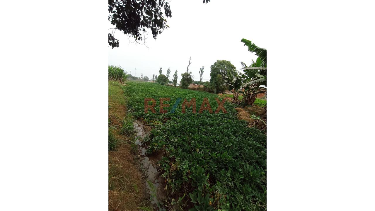 🚨🎯Se Vende Terreno Rural Con Proyecciòn Urbana🚨🎯 - 3