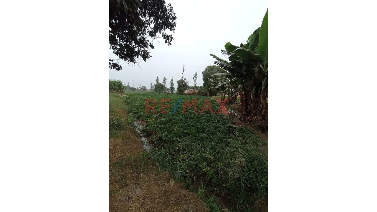 🚨🎯Se Vende Terreno Rural Con Proyecciòn Urbana🚨🎯 - 10