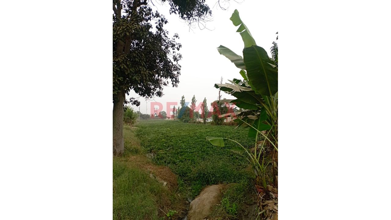 🚨🎯Se Vende Terreno Rural Con Proyecciòn Urbana🚨🎯 - 2