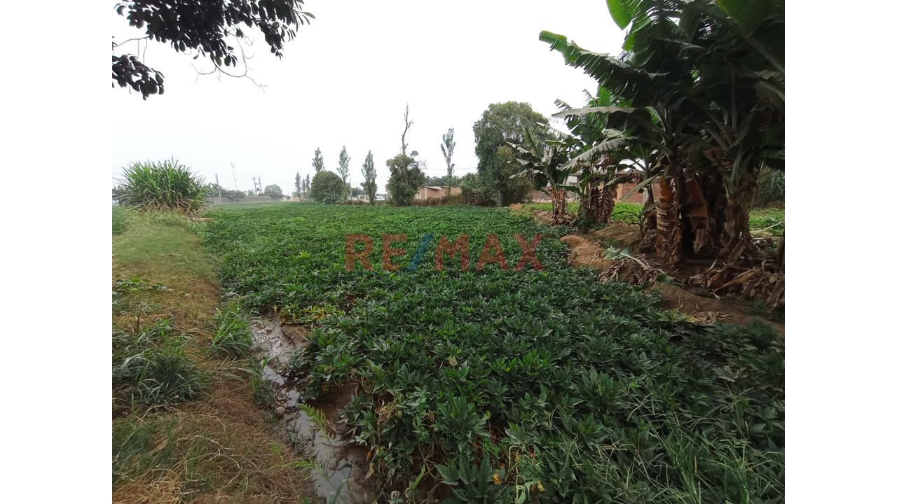 🚨🎯Se Vende Terreno Rural Con Proyecciòn Urbana🚨🎯 - 1